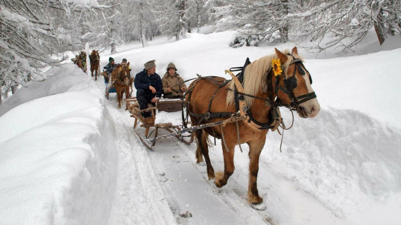 B&B Al Baitin Santa Caterina Valfurva Dış mekan fotoğraf